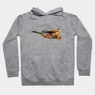 Kestrel or Windhover Hoodie